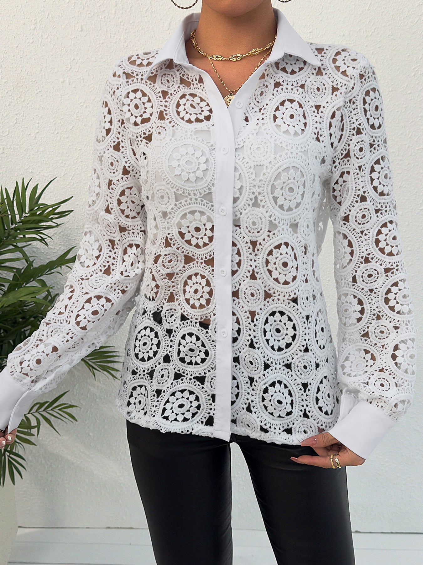 New Long Sleeve Lace V-neck Women's Shirt